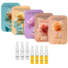Ampullen Abo 2026 - Set 2