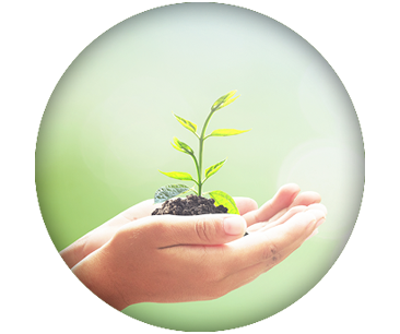 Nachhaltigkeit & Verantwortung